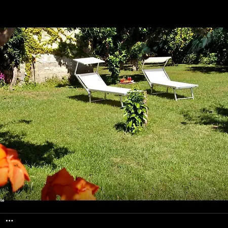 Il Comandante 4* Procida