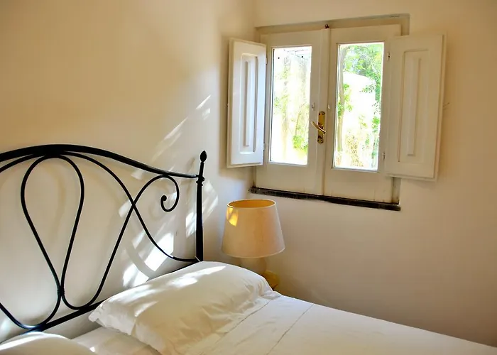 Il Comandante プロチーダ